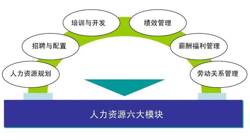 医院后勤劳务外包招标流程全解析**