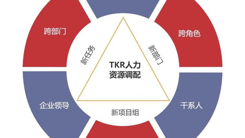 上海按结果收费猎头公司：揭秘高效招聘背后的逻辑
